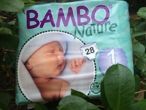Bambo-Nature-e1441293538335-300x225