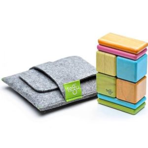 Tegu magnetic blocks