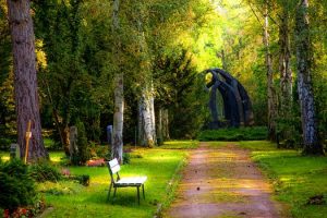 lush green park with bench