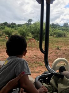 Aarav watching an impala on safari in Africa